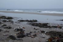 Eastern Sea (Gdansk, Poland)